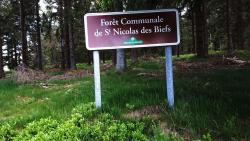 Forêt Communale de St Nicolas des Biefs