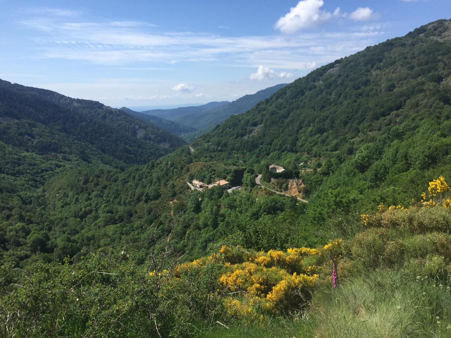Sur les hauteurs de Laviolle et Mézilhac