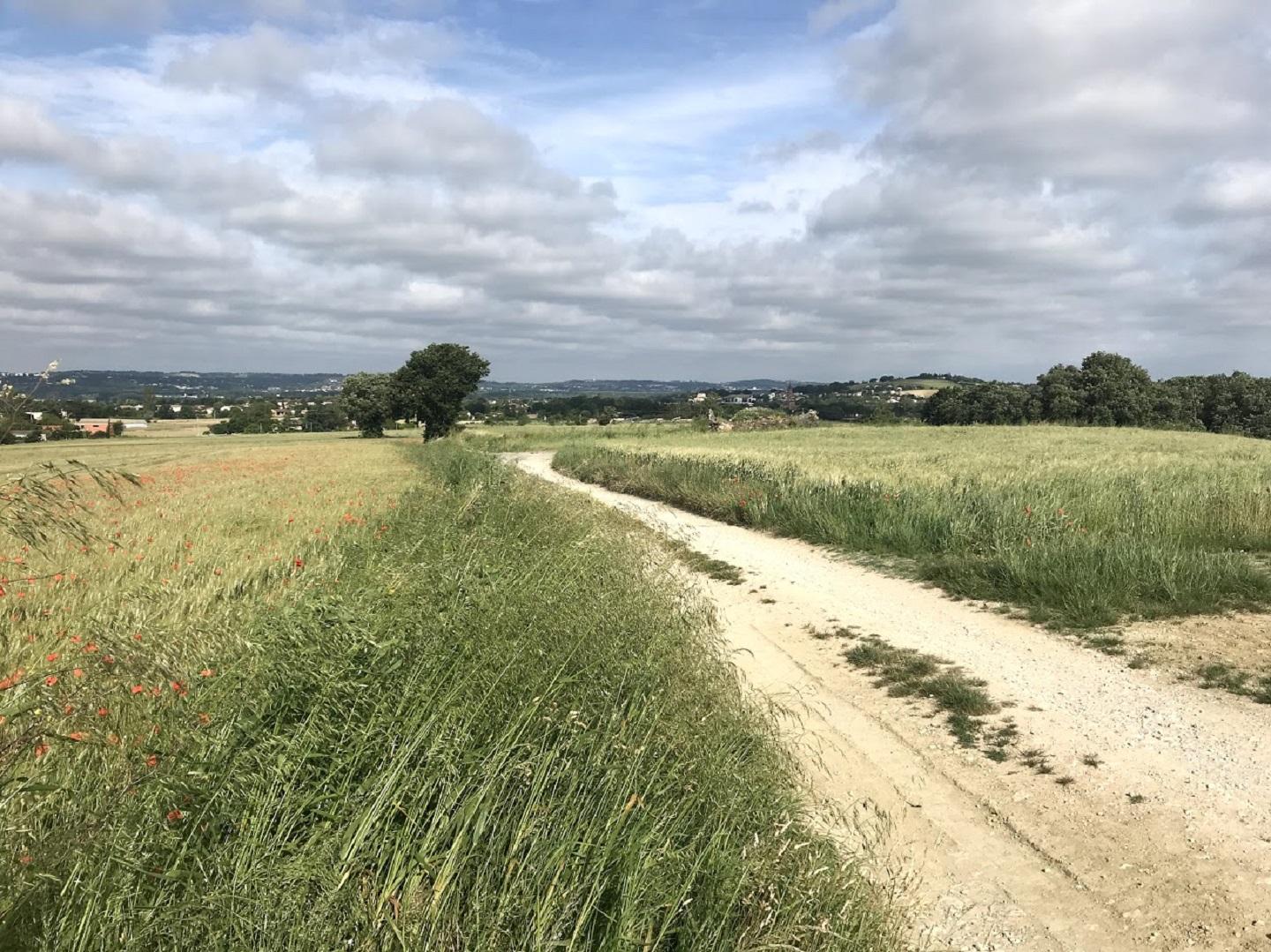 Saint-Orens vers le GR 653 - Montgiscard