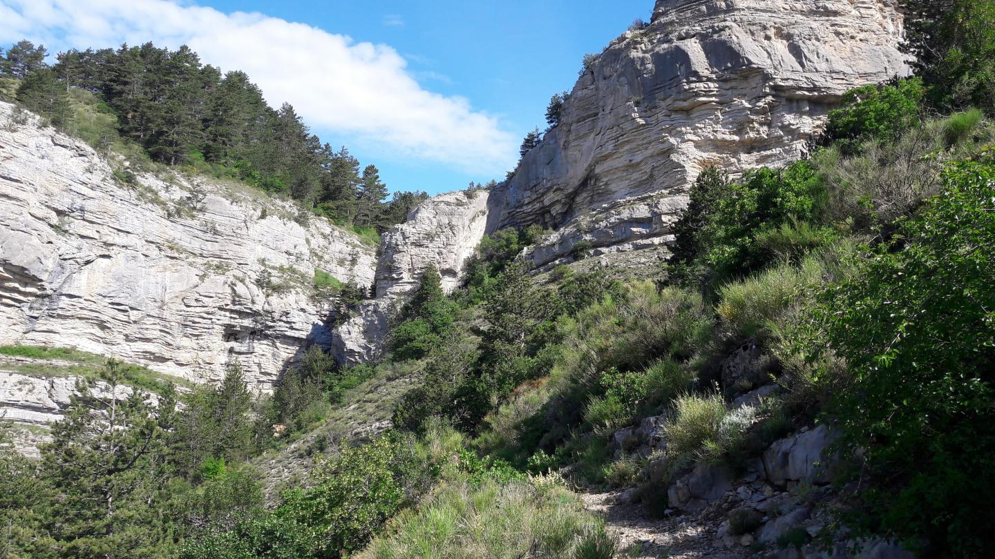 Savournon - Tour de L'Aup