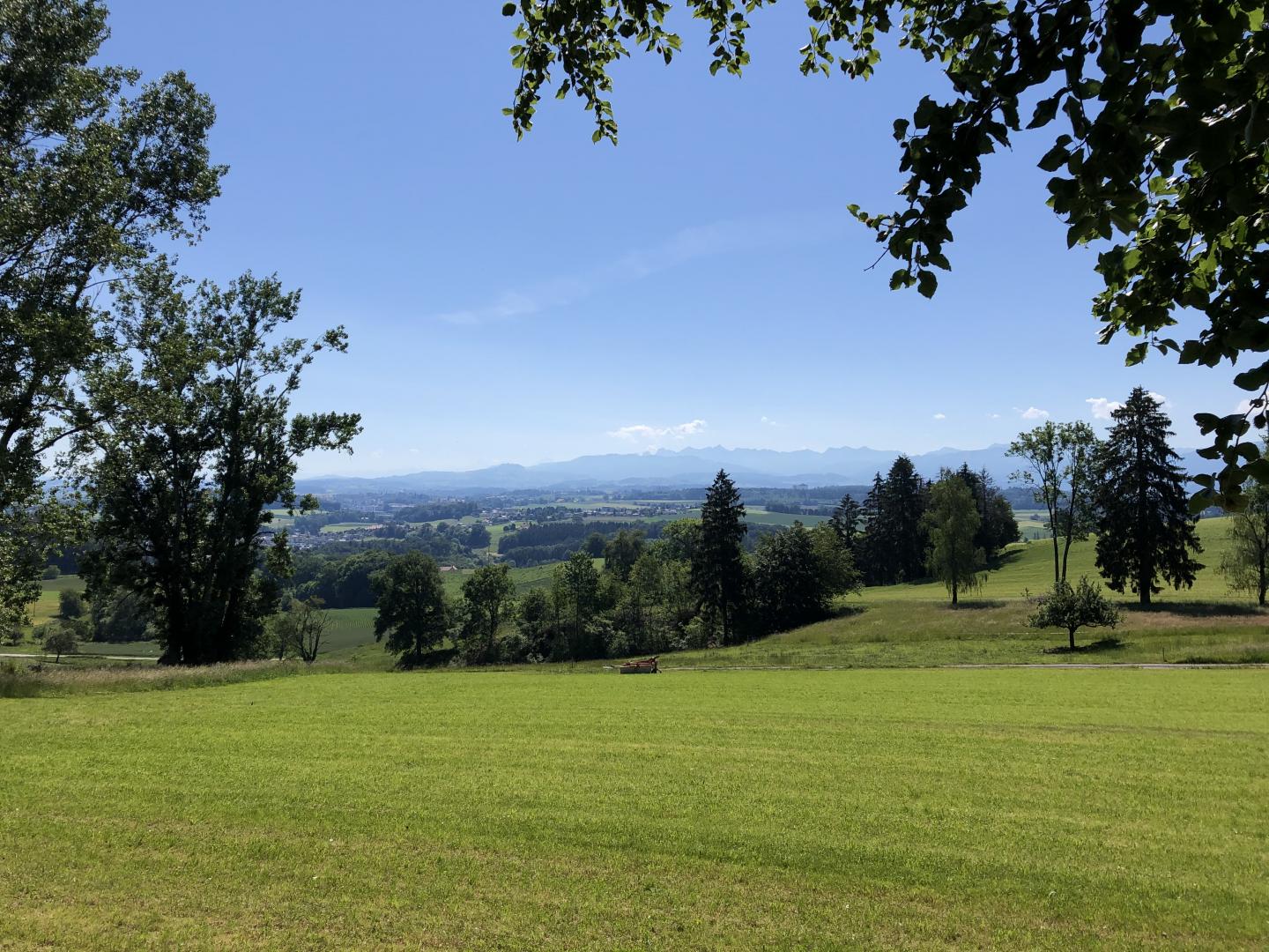 Villarepos - Entre forêt et prés