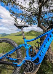 VTT-19875