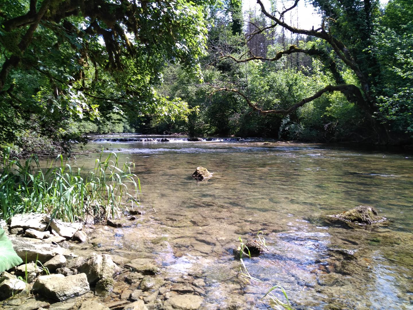 Les gorges du Lison