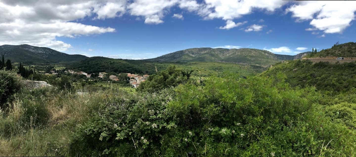 Feuilla - Fitou - Le grand 8