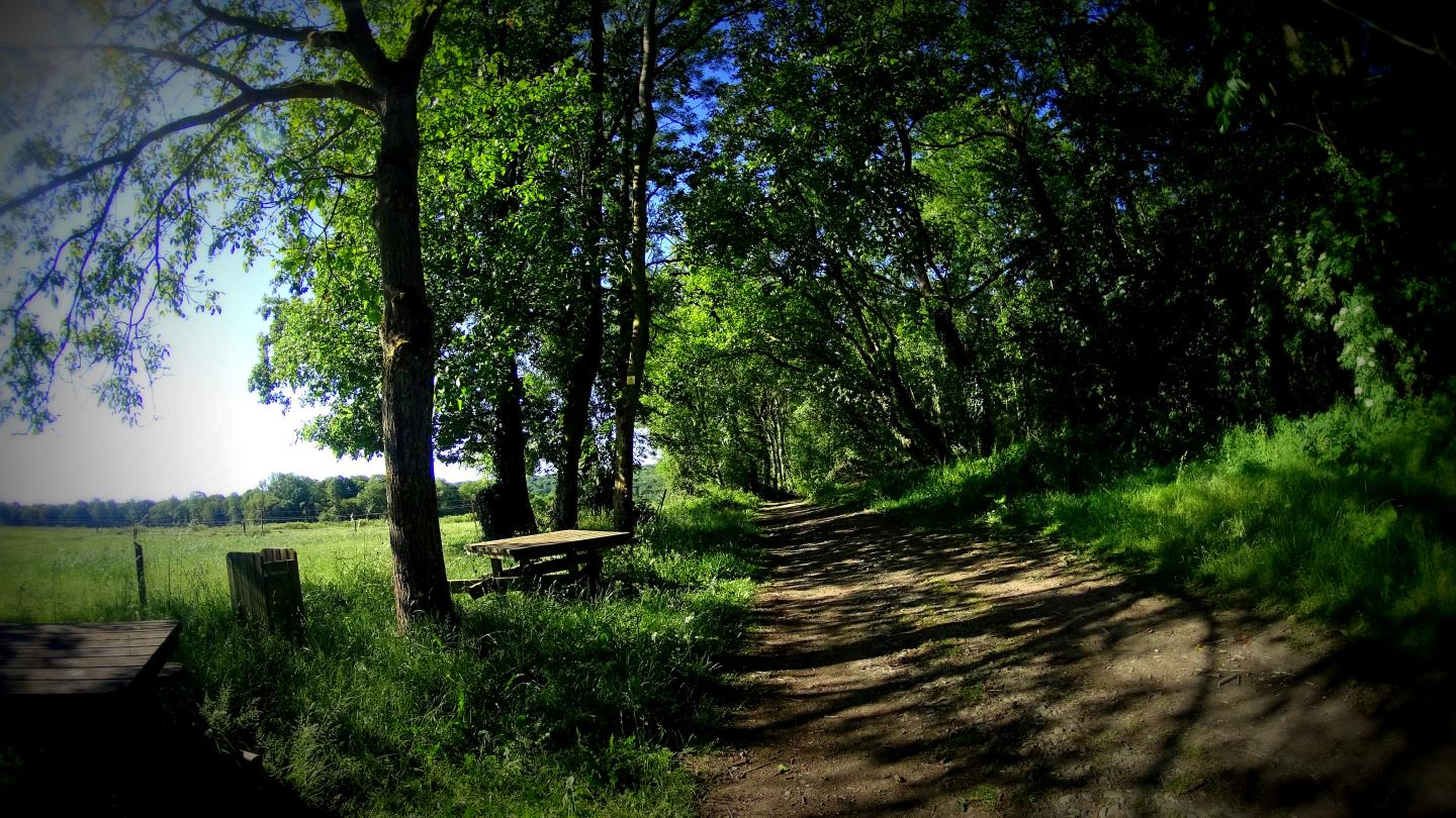 Entre les lacs de Silenrieux