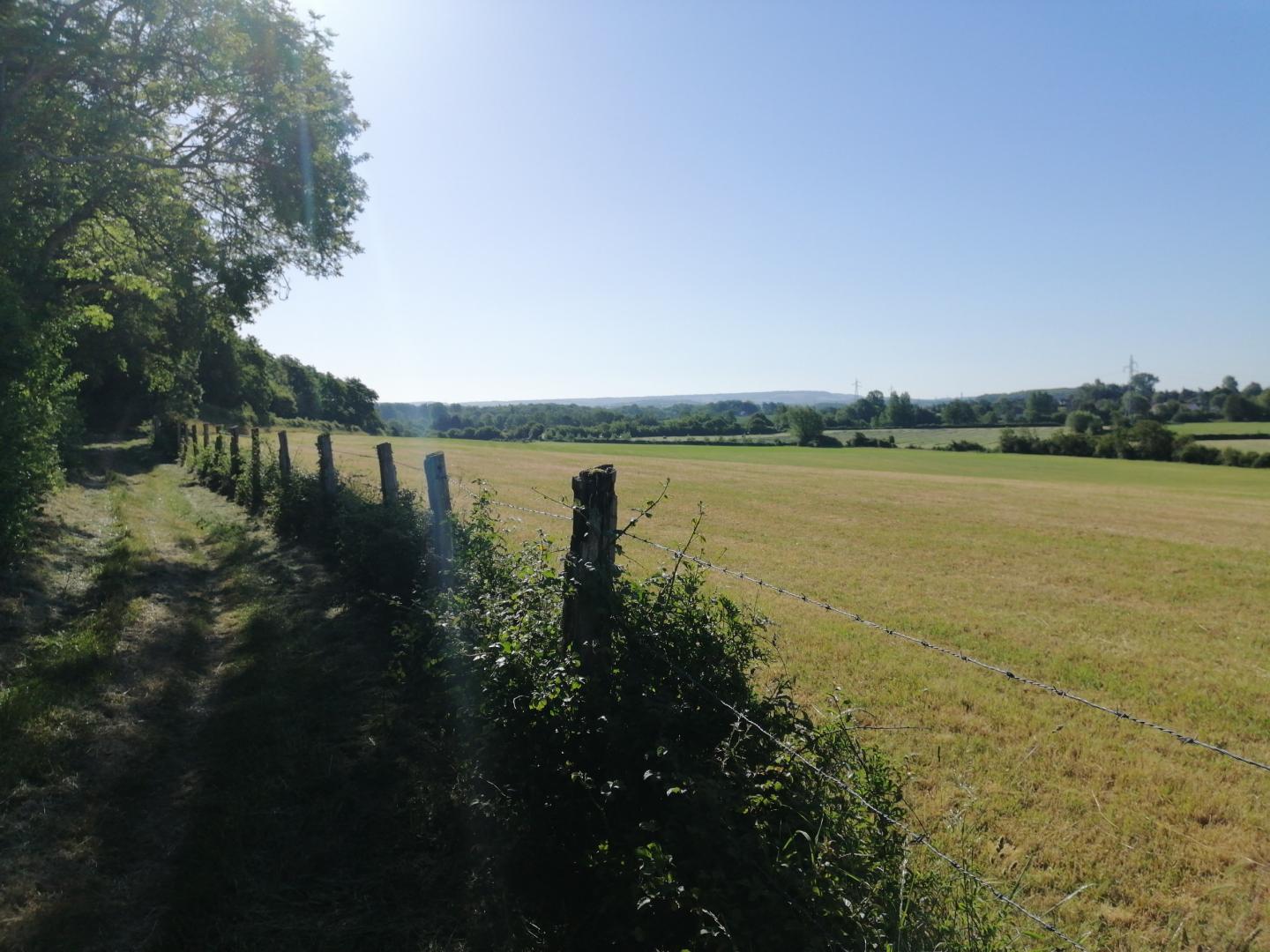 Mont Pinel (au départ de Marquise)