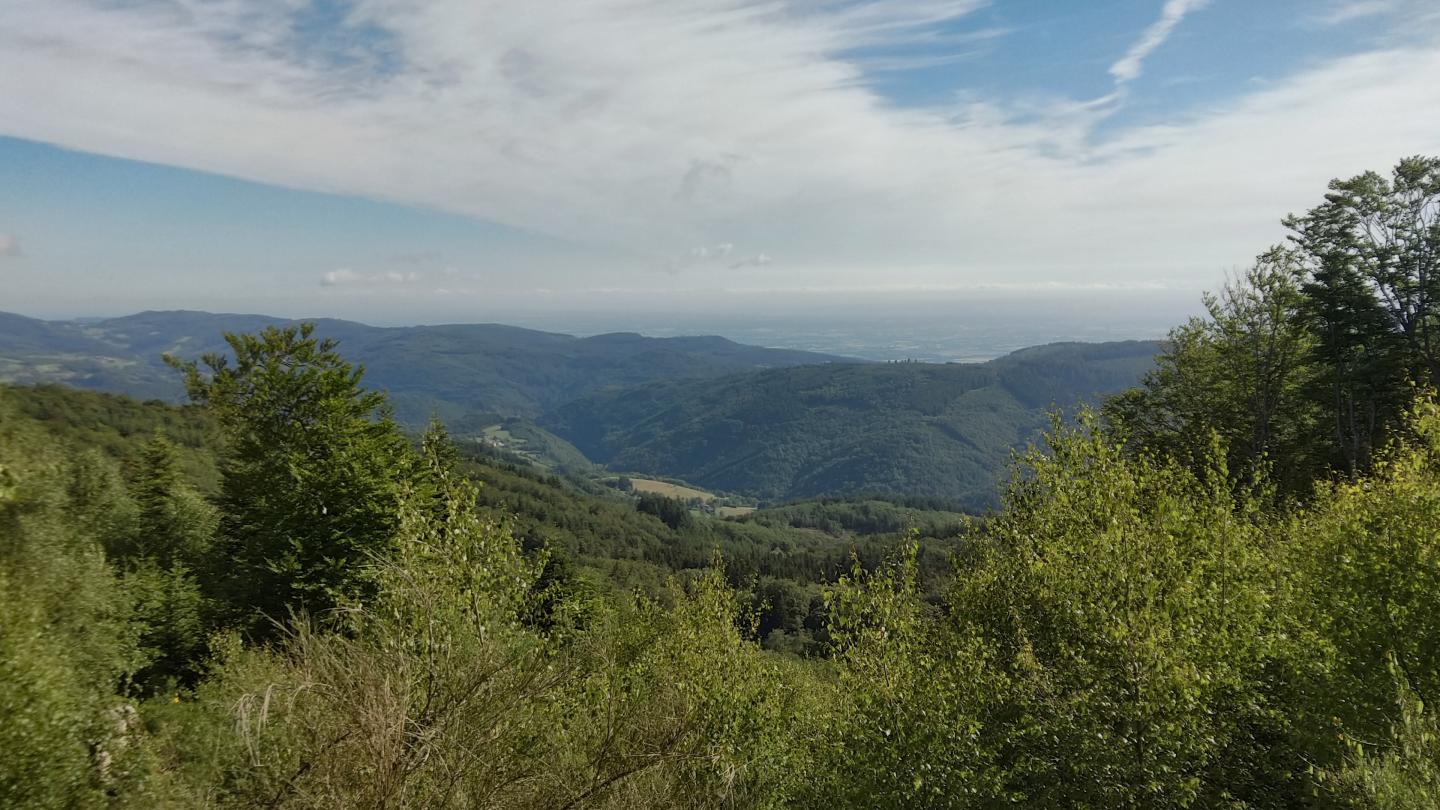 Rocher de Rochefort - La Murette