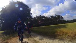 VTT-19985