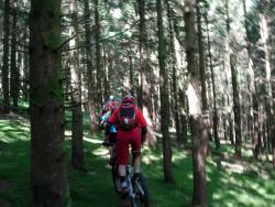 VTT-20004