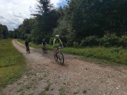 VTT-20037