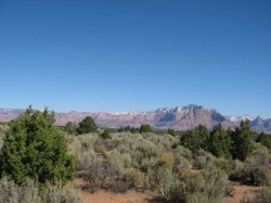 Vue sur Zion national park