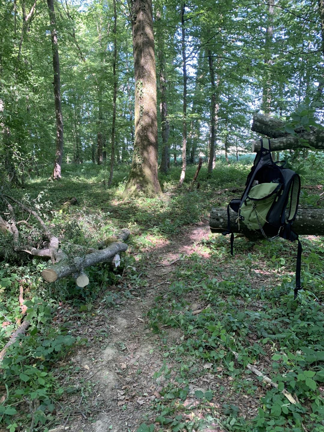 Bois de Rurange et de Bousse