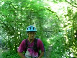 VTT-20064