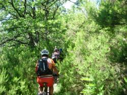 VTT-20067