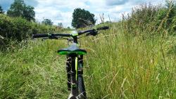 Hautes herbes sur piste agricole