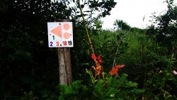 Balisage des circuits VTT