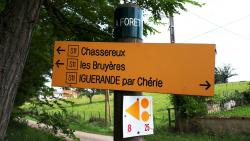La Forêt, totem et balisage