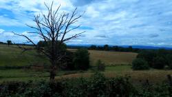 Paysage