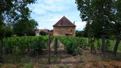 Maison et vignes à Saint Martin du Lac