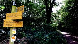 Bois de Glenne, totem des circuits marche et VTT