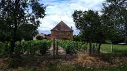 Saint Martin du Lac, maison et vignes