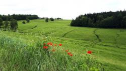 Paysage du Brionnais