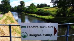 Bord du canal de Roanne à Digoin, Bougres d'ânes