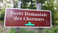 Forêt Domaniale des Charmays