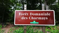 Forêt des Charnays