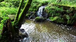 Ruisseau avant Briant