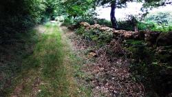Chemin bordé de murette au départ