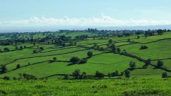 Bocage du Brionnais