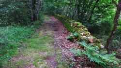 Joli chemin avec murette
