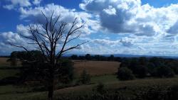 Paysage