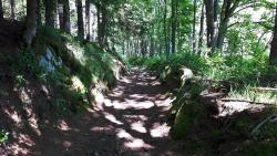 Joli chemin