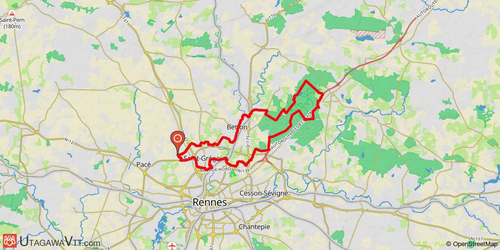 Sortie en forêt de Rennes