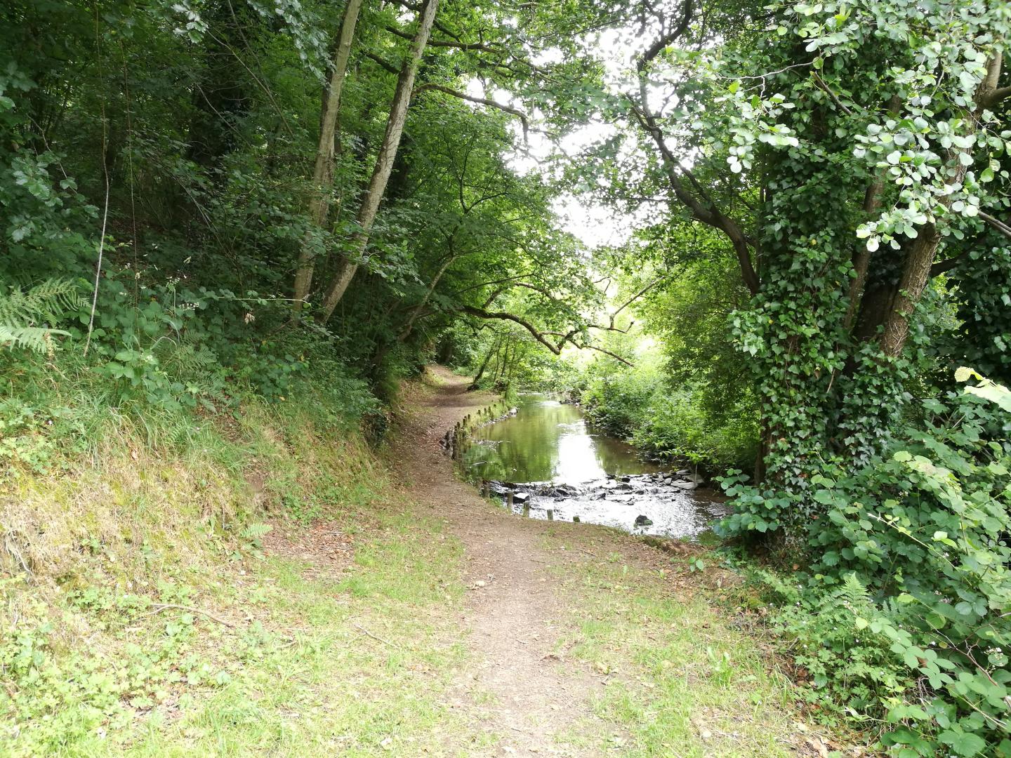 Mondrainville - Villers-Bocage - Épinay - Bois de Mondrainville