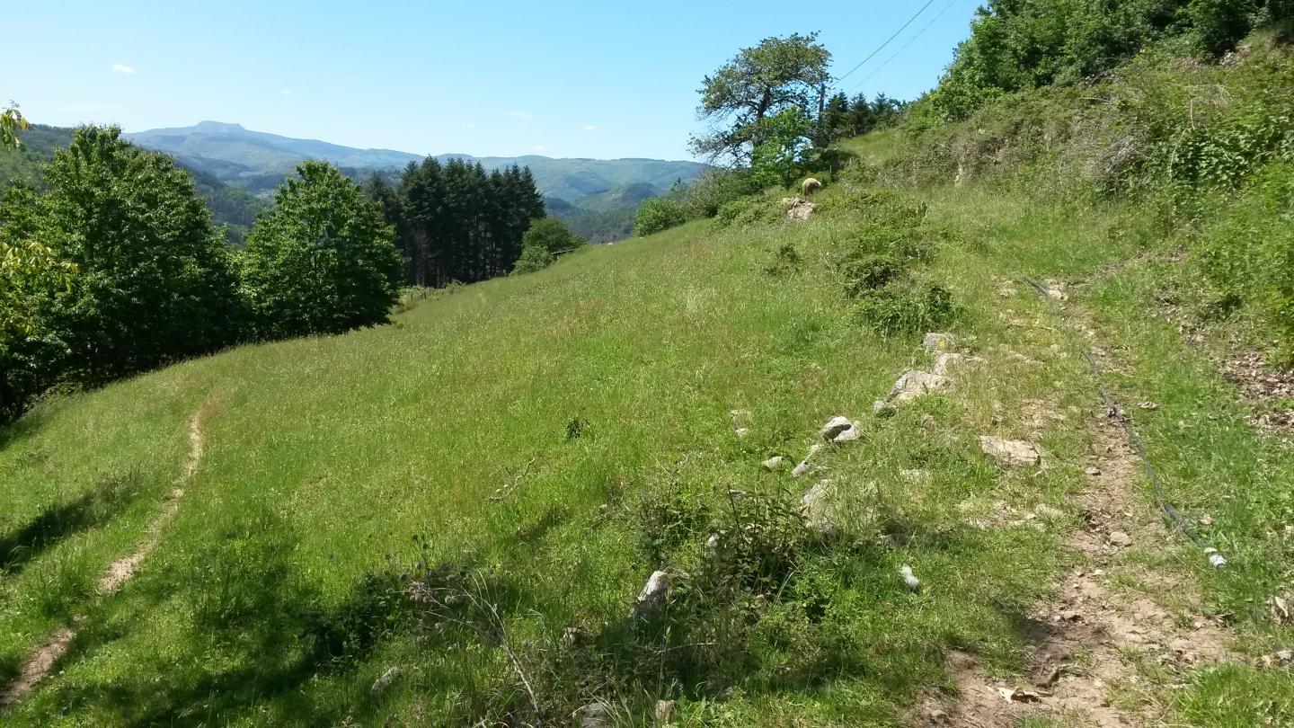 Darne-Bessac - La Coste -  Peyrérol