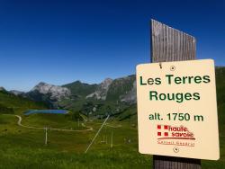 Le sommet