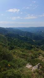 Roche Bonne