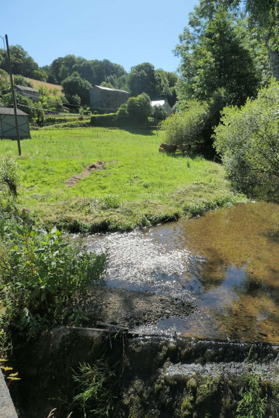 Cambous  (Croix Lioque ) - Viane Gijounet