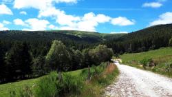 Grande piste passant sous le télésiège de Chalmazel