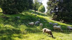 Au détour du parcours