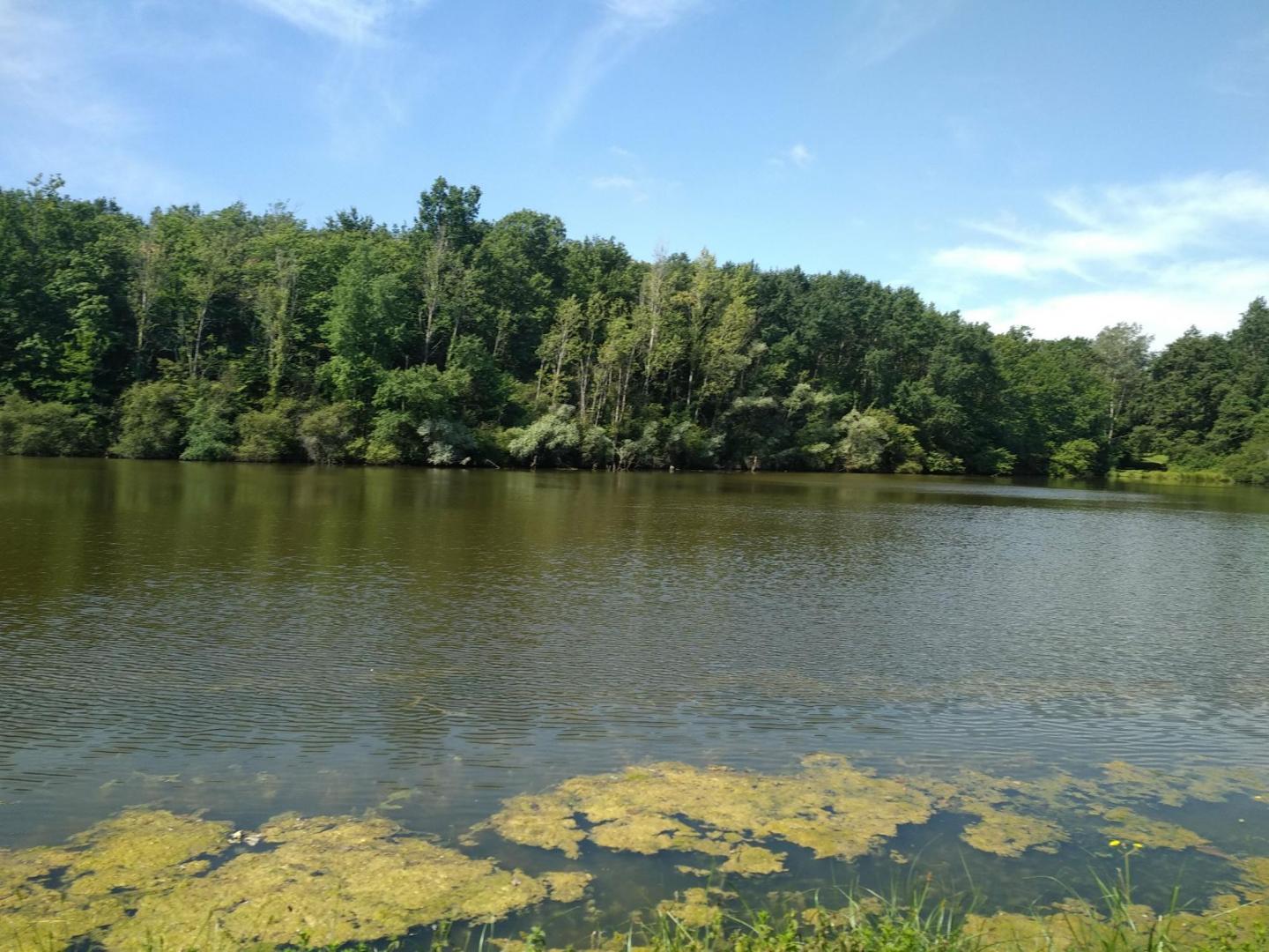 Les coteaux de Montaigut-sur-Save