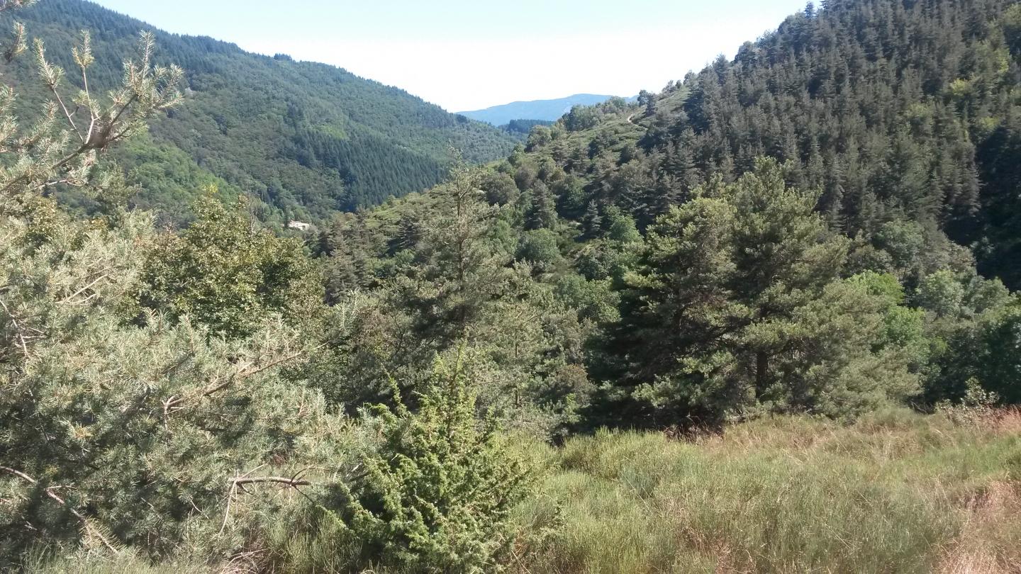 Bleyssac - La Grangette