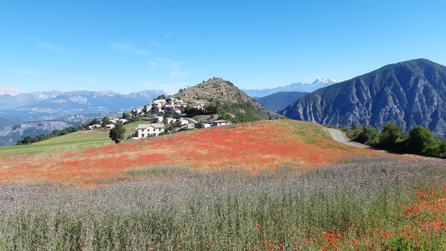 Montsérieux - Piégut