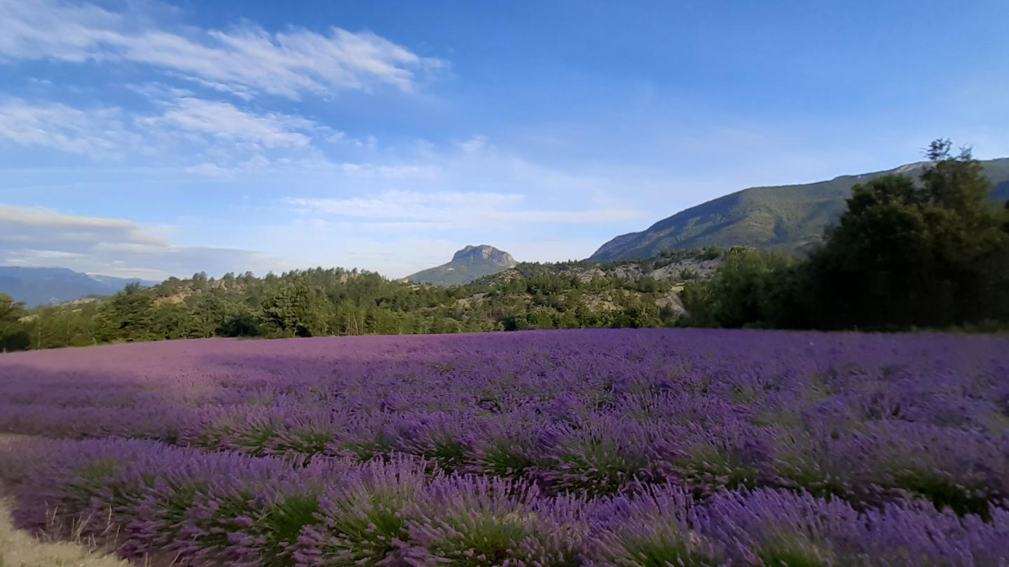 Entrepierres: Autour de Saint-Symphorien