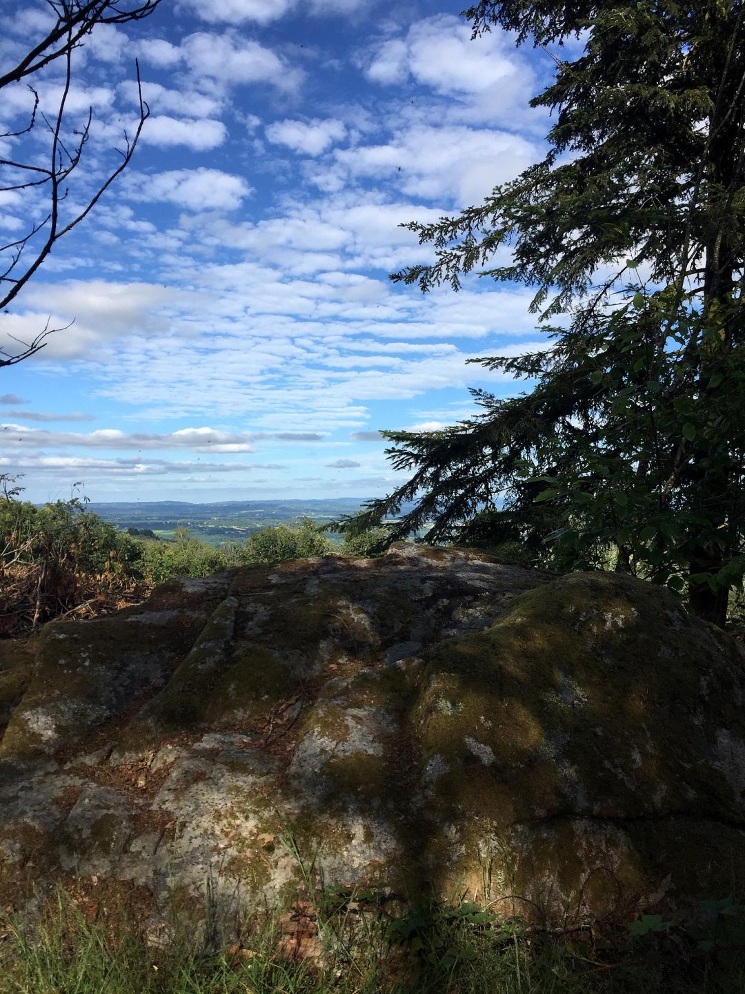 Espace VTT-FFC des Monts de Blond - Circuit n°4: La Glayeule