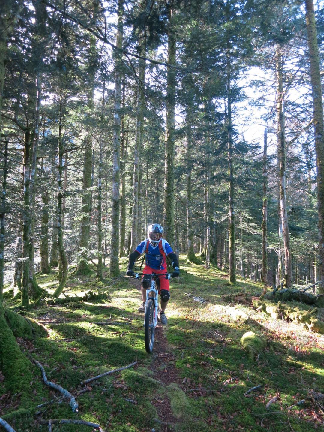 Site VTT-FFC des Pyrénées Béarnaises - Descente de La Pierre Saint-Martin