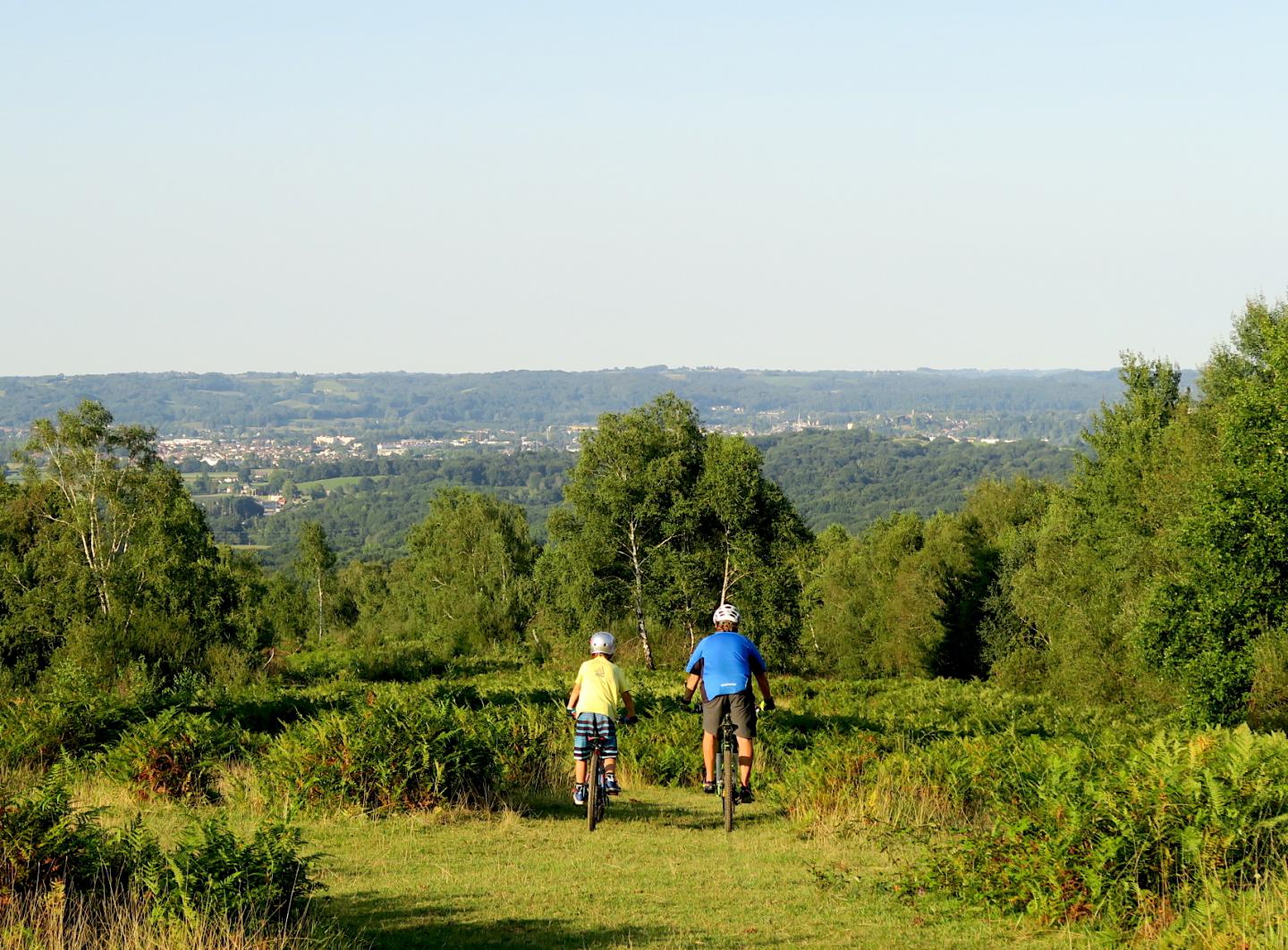 Site VTT-FFC des Pyrénées Béarnaises - Bois de Haut